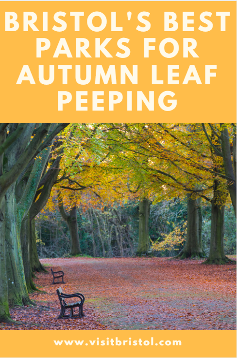 Bristol's best parks for autumn leaf peeping